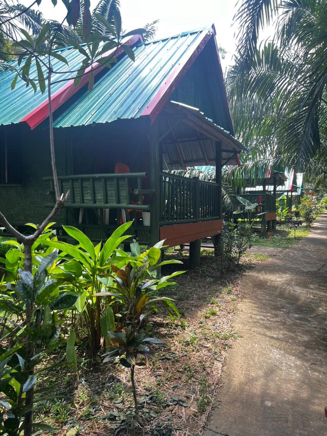 Khaosok Bamboo Huts Resort Khao Sok National Park Ngoại thất bức ảnh