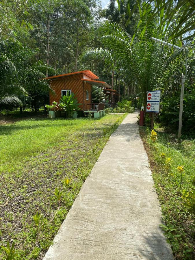 Khaosok Bamboo Huts Resort Khao Sok National Park Ngoại thất bức ảnh